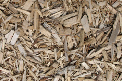 biomass boilers Hollinwood